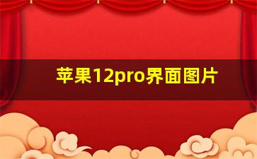 苹果12pro界面图片