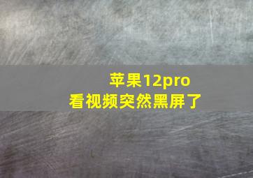 苹果12pro看视频突然黑屏了