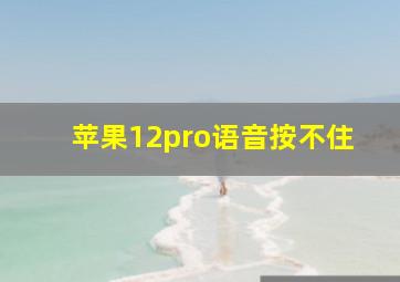 苹果12pro语音按不住