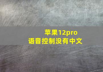 苹果12pro语音控制没有中文