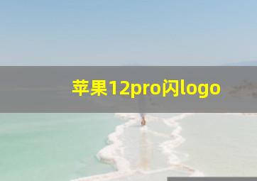 苹果12pro闪logo