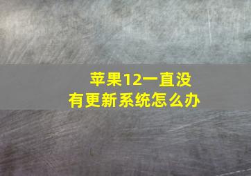 苹果12一直没有更新系统怎么办