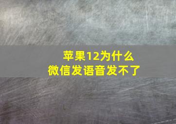 苹果12为什么微信发语音发不了