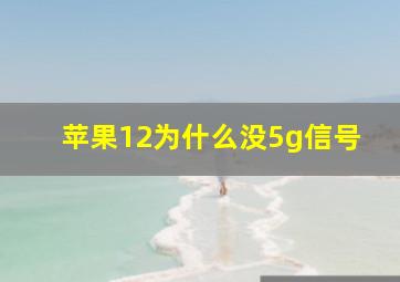 苹果12为什么没5g信号