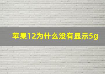 苹果12为什么没有显示5g