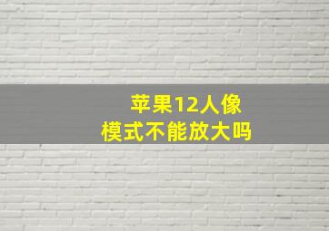 苹果12人像模式不能放大吗