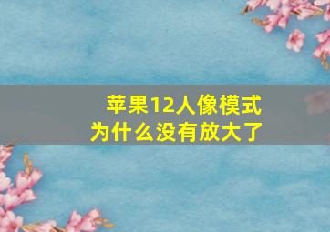 苹果12人像模式为什么没有放大了