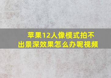 苹果12人像模式拍不出景深效果怎么办呢视频