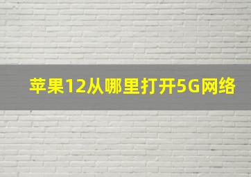 苹果12从哪里打开5G网络