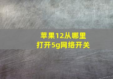 苹果12从哪里打开5g网络开关