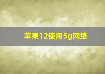 苹果12使用5g网络