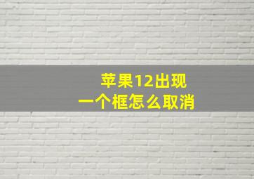 苹果12出现一个框怎么取消