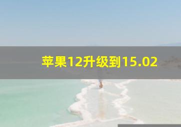 苹果12升级到15.02