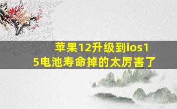 苹果12升级到ios15电池寿命掉的太厉害了