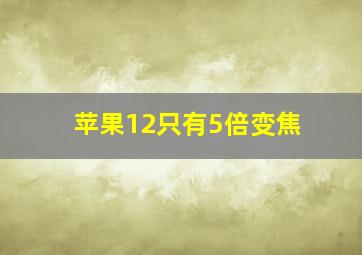 苹果12只有5倍变焦