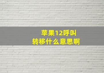 苹果12呼叫转移什么意思啊