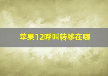 苹果12呼叫转移在哪