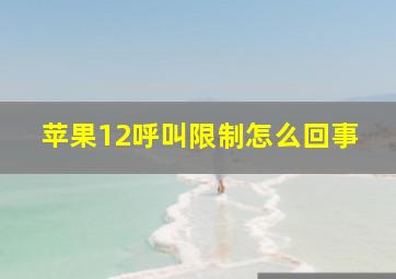 苹果12呼叫限制怎么回事