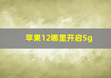 苹果12哪里开启5g