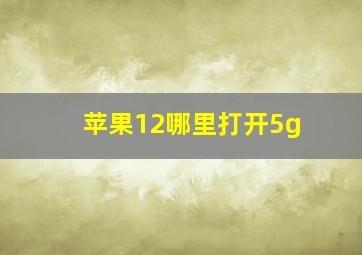 苹果12哪里打开5g