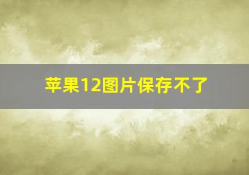 苹果12图片保存不了