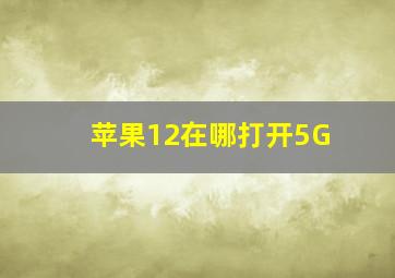 苹果12在哪打开5G