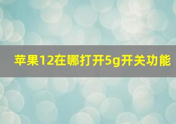 苹果12在哪打开5g开关功能