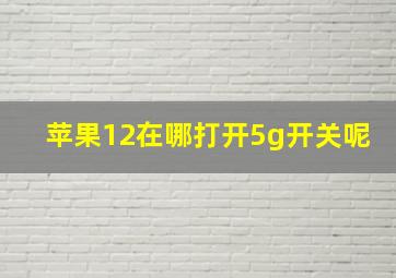 苹果12在哪打开5g开关呢