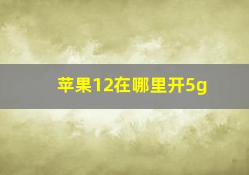 苹果12在哪里开5g