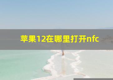 苹果12在哪里打开nfc