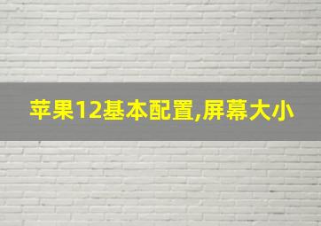 苹果12基本配置,屏幕大小