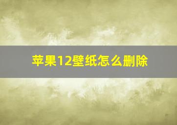 苹果12壁纸怎么删除