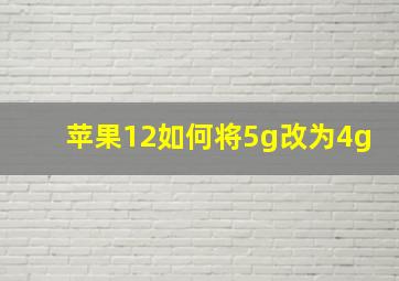 苹果12如何将5g改为4g