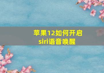 苹果12如何开启siri语音唤醒