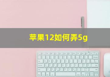 苹果12如何弄5g