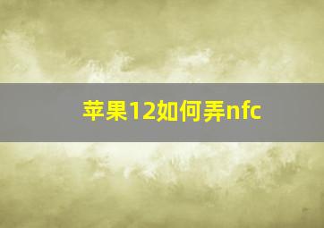 苹果12如何弄nfc