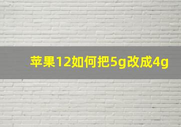 苹果12如何把5g改成4g