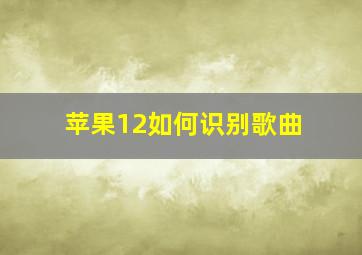 苹果12如何识别歌曲