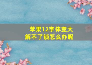 苹果12字体变大解不了锁怎么办呢