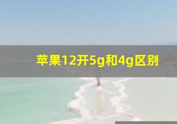 苹果12开5g和4g区别