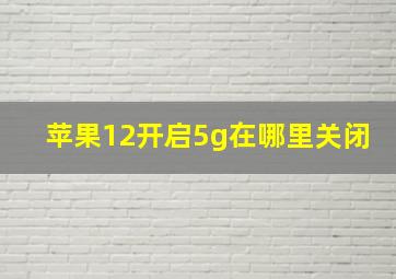 苹果12开启5g在哪里关闭