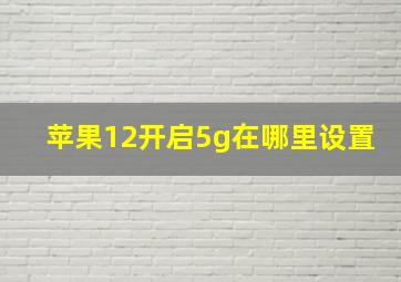 苹果12开启5g在哪里设置