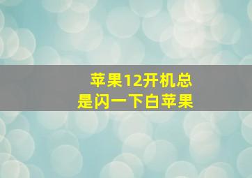 苹果12开机总是闪一下白苹果