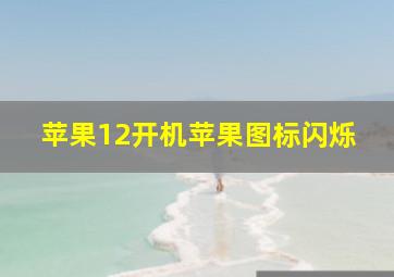 苹果12开机苹果图标闪烁