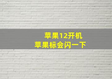 苹果12开机苹果标会闪一下