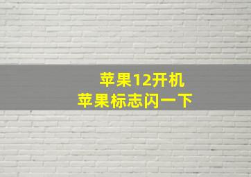 苹果12开机苹果标志闪一下