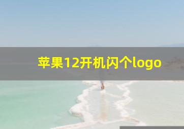 苹果12开机闪个logo