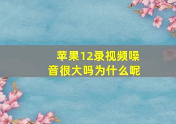 苹果12录视频噪音很大吗为什么呢