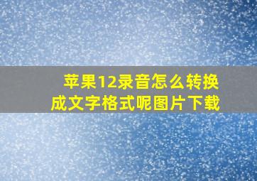 苹果12录音怎么转换成文字格式呢图片下载