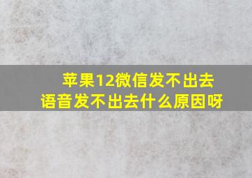 苹果12微信发不出去语音发不出去什么原因呀